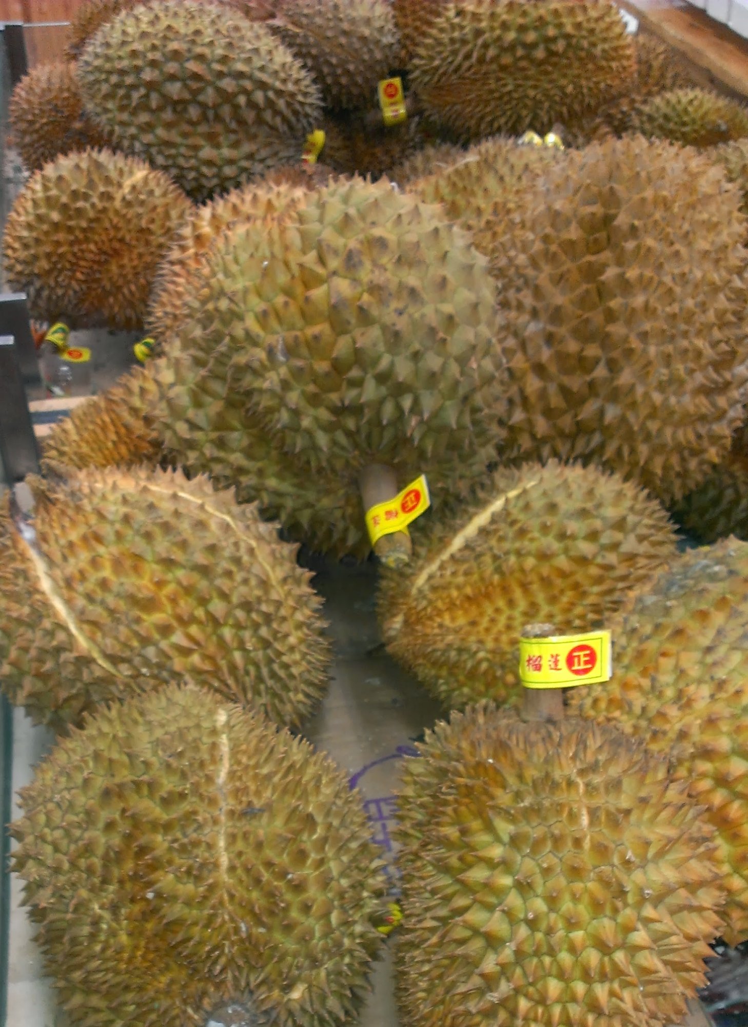 Durians.jpg