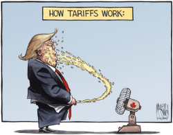 Trump Tariffs.png